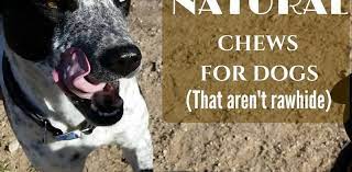 Safe Natural Chews For Dogs That Aren T Rawhide Petsweekly Com