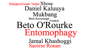 In the world of words and all of t. All The Words You Couldn T Pronounce In 2018 Cnn