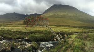 But you need to realize that a do it yourself divorce is not always the best option when dissolving a marriage. A Trip To Scotland Helped Heal Wounds From Divorce