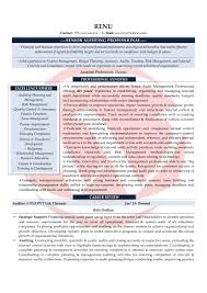It is therefore imperative to highlight these skills in whatever for an internal audit role, you need to focus both on your professional qualifications and skills as well as your prior work experience. Auditor Sample Resumes Download Resume Format Templates