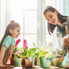 Jangan khawatir dengan ukuran lahan rumah yang terbatas, asalkan tahu model dan desain taman minimalis yang sesuai. 11 Rekomendasi Tanaman Hias Yang Indah Untuk Taman Yang Bikin Anda Betah Di Rumah