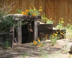 Pin On Garden Plants Yards Landscaping