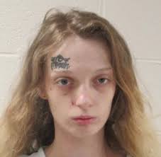 Attempted homicide charge dismissed for Waynesburg woman accused in  stabbing