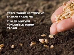 Yerel Tohum Uretmek Ve Satmak Yasak Mi Tum Bilinmeyen Yonleriyle Tohum Yasagi Selfhukuk