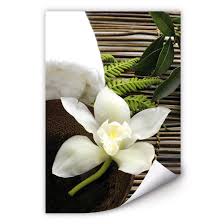 18 beiträge verwandte von orchideen ohne topf im badezimmer. Wallprint Wellness Orchidee Wandbild Fur Badezimmer Wall Art De
