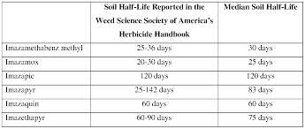 Image result for Dissotis longisepala