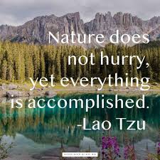 This will redirect you to. 170 Lao Tzu Quotes Keep Inspiring Me