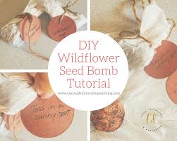 Includes instructions and a free printable card for a fun may day gift! Wildflower Seed Bomb Tutorial Crazy Adventures In Parenting