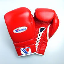 the top 15 best boxing gloves we