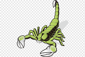 Scorpion Euclidean Cartoon Scorpion Cartoon Character Cartoon Arms Insects Png Pngwing Check out this fantastic collection of mortal kombat x scorpion wallpapers, with 59 a collection of the top 59 mortal kombat x scorpion wallpapers and backgrounds available for download for free.