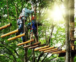 Traverse an aerial obstacle course and perfect your climbing skills at escape theme park. Penang Escape Theme Park Teluk Bahang Onlypenang Com