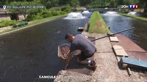 La ville peut être visitée durant toutes les saisons, mais il existe quand même quelques saisons à privilégier lorsqu'on souhaite pratiquer une activité spécifique. Intemperies Retour A La Normale Mais Des Cumuls De Pluie Importants Lci
