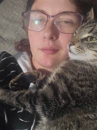 Peoria Pets Lost And Found Illinois