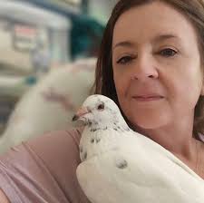 KFC's eggbound condition requires urgent veterinary care