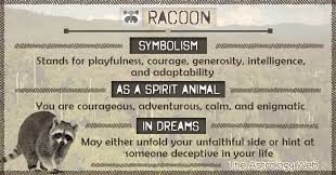 Raccoon Meaning And Symbolism The Astrology Web Animal Totem Spirit Guides Animal Spirit Guides Spirit Animal Meaning