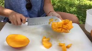 Mango is one of the most popular fruits in the world, but not many know how to select ripe mangoes and even less know how to cut it the right way, or the fun. How To Properly Cut A Mango Youtube