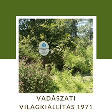 Festmény, grafika, papírrégiség | vadászati világkiállítás 1971 emlékalbum. Vadaszati Vilagkiallitas 1971 Posts Facebook