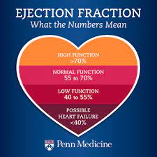 Ejection Fraction What The Numbers Mean Penn Medicine