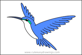 5 step:4 draw wings of hummingbird. How To Draw A Flying Hummingbird Easy Step By Step For Kids Cute Easy Drawings