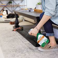 If you hire an exterminator to get rid of fleas, they will spray all kinds of toxic products. Flea Treatment For Home How To Get Rid Of Fleas In Your Home