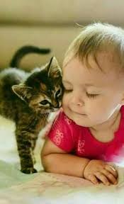 Want More Cute Kittens Click The Photo For More Catloverscommunity Catloverscommunity Cats Kittens Cute Baby Animals Cute Cats Cute Kids