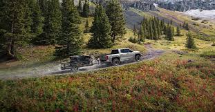 Image result for Brown 2025 Fleet