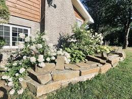 Flower beds against the home, sometimes referred to as foundation plantings, can offer it's not simply planting shrubs against your house; 11 Best Flower Bed Ideas To Try In Your Garden