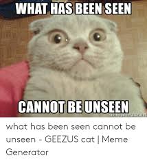 What Has Been Seen Cannot Be Unseen What Has Been Seen Cannot Be Unseen Geezus Cat Meme Generator Meme On Me Me