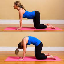 It stretches the back torso and neck, and softly stimulates and strengthens the abdominal organs. How To Do Cat To Cow Pose Popsugar Fitness