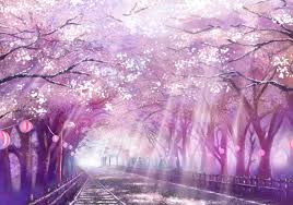 Find the best cherry blossom background on getwallpapers. Cherry Blossom Anime Wallpapers Wallpaper Cave