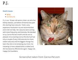 By utilizing the scientific principles of veterinary medicine and pharmacology, combined with multidisciplinary research and our own testing and informal clinical trials, we developed our hemp oil and cbd capsules for dogs and cats. Cbd For Cats An In Depth Look At Cannabis And Hemp For Cats