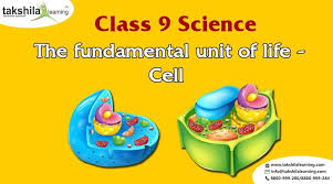 It has gotten 17608 views and also has 4.9 rating. Cell The Fundamental Unit Of Life Class 9 Science Notes