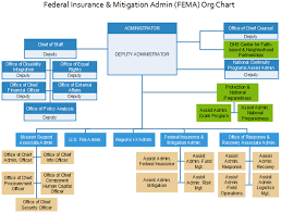 Fema Org Chart Federal Insurance Mitigation Admin Org