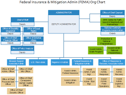 fema org chart federal insurance mitigation admin org