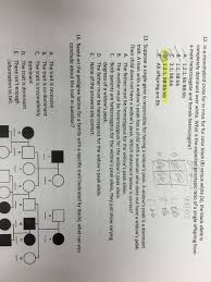 Check spelling or type a new query. In A Monohybrid Cross For In Mice For Fur Color Black Chegg Com