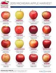 Michigan Apple Varieties