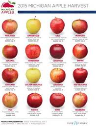 michigan apple varieties