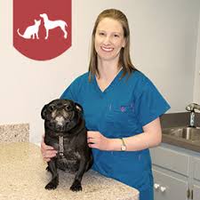 our team stonehenge veterinary hospital