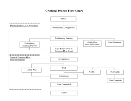 criminal justice process flowchart analyzingjh