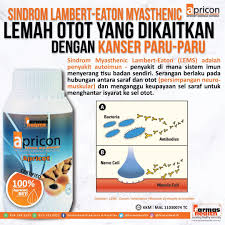 Maybe you would like to learn more about one of these? Lambert Eaton Myasthenic Syndrome Lemah Otot Yang Sering Didapati Pada Pesakit Kanser Paru Paru Personal Care Person Care
