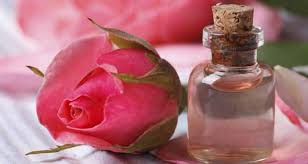 गुलाब जल, नारियल दूध जैसी घरेलू चीजों के इस्तेमाल से दिखें 10 साल जवां |  TheHealthSite.com हिंदी