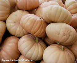 Image result for Cucurbita moschata