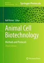 We did not find results for: Animal Cell Biotechnology Methods And Protocols Ralf Portner Springer