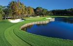 Golf at Innisbrook Golf Resort - Premier Golfing Experience