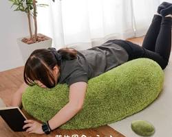 もちもちクッションの画像