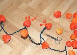 Decoration D Automne Exceptionnelle Avec Physalis Alkekengi Deco Automnale Decoration Automne Craft