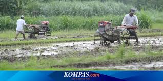 Berapa Persen Yang Dikeluarkan Untuk Zakat Pertanian