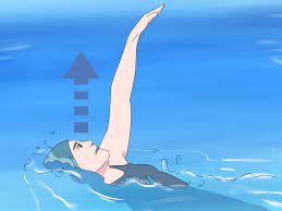 The series can be divided into the following stages: How To Swim Backstroke 9 Steps With Pictures Wikihow