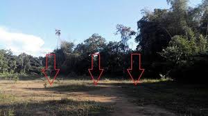 Sekiranya anda hanya menemui pembaris kaki (kaki) atau inci (dalam), ukur dengan mereka dan pergi ke bahagian penukaran meter persegi. Tanah Lot Banglo Di 6000 Kaki Persegi Peringat Maklumat Tanah Luas Tanah 561 Meter Persegi Atau 6000 Kaki Persegi Di Peringat Kota Bharu 80 Meter Ke Jalan Besar Peringat