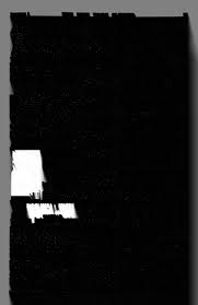 New York Clipper (November 1895)